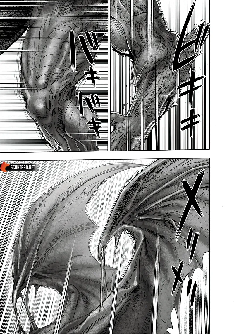 One Punch Man - 220 - 65514563cff74.webp