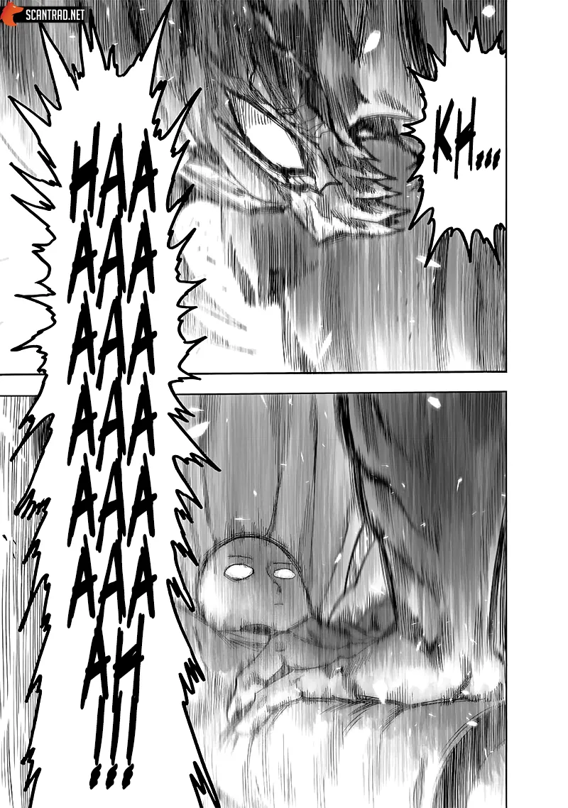 One Punch Man - 221 - 6551456809e50.webp