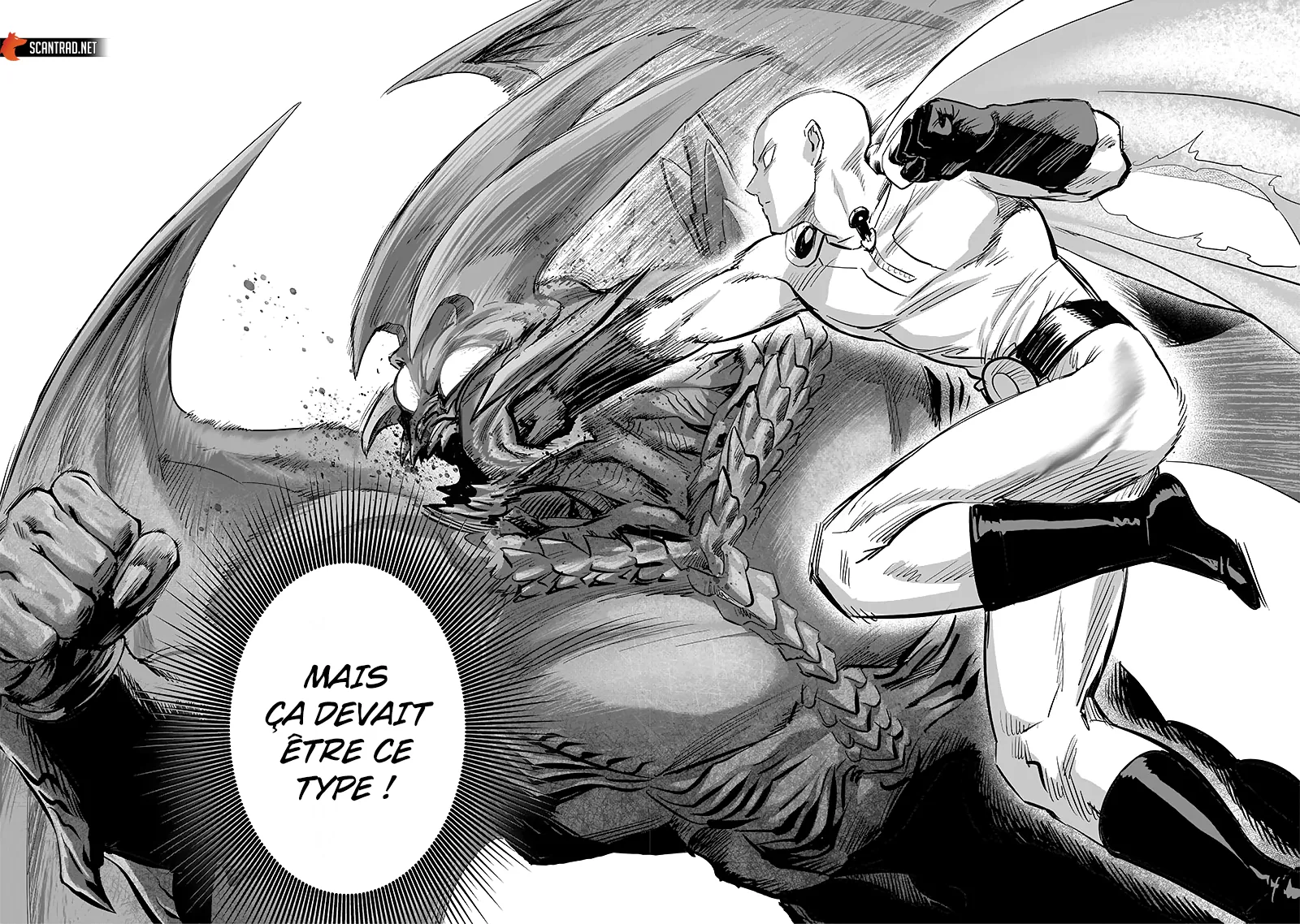 One Punch Man - 221 - 6551456c7a157.webp