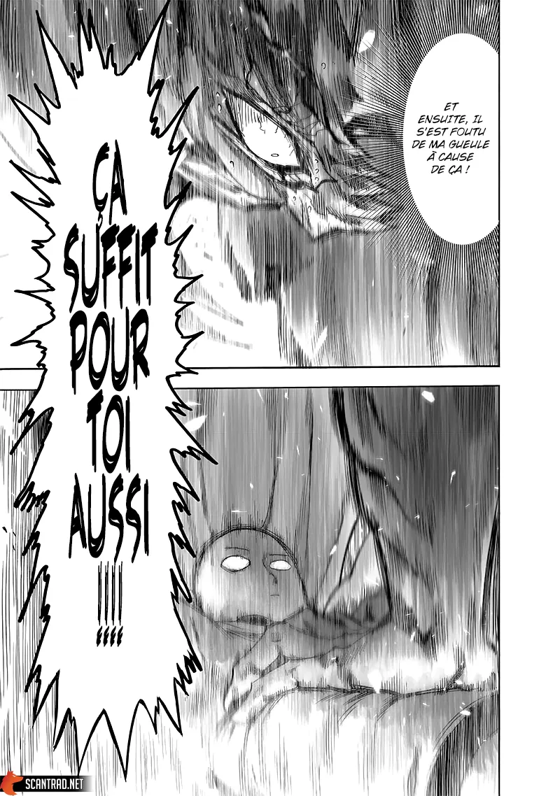 One Punch Man - 222 - 65514570a1045.webp