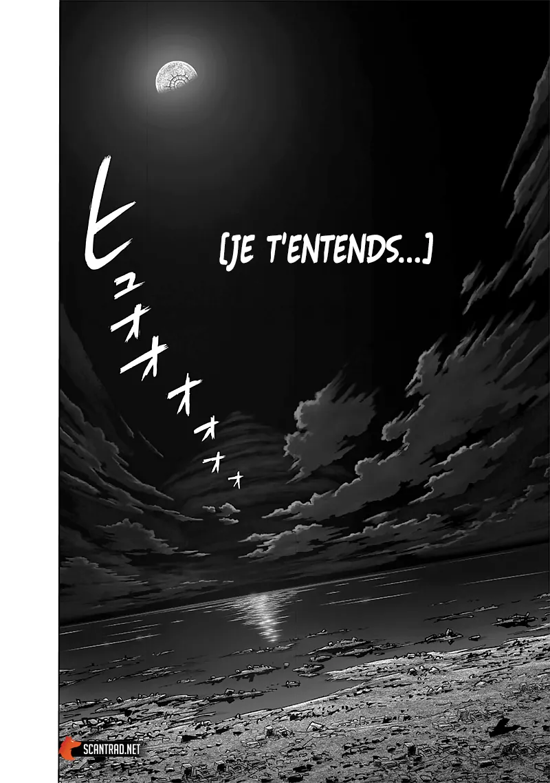 One Punch Man - 222 - 65514575ed85a.webp