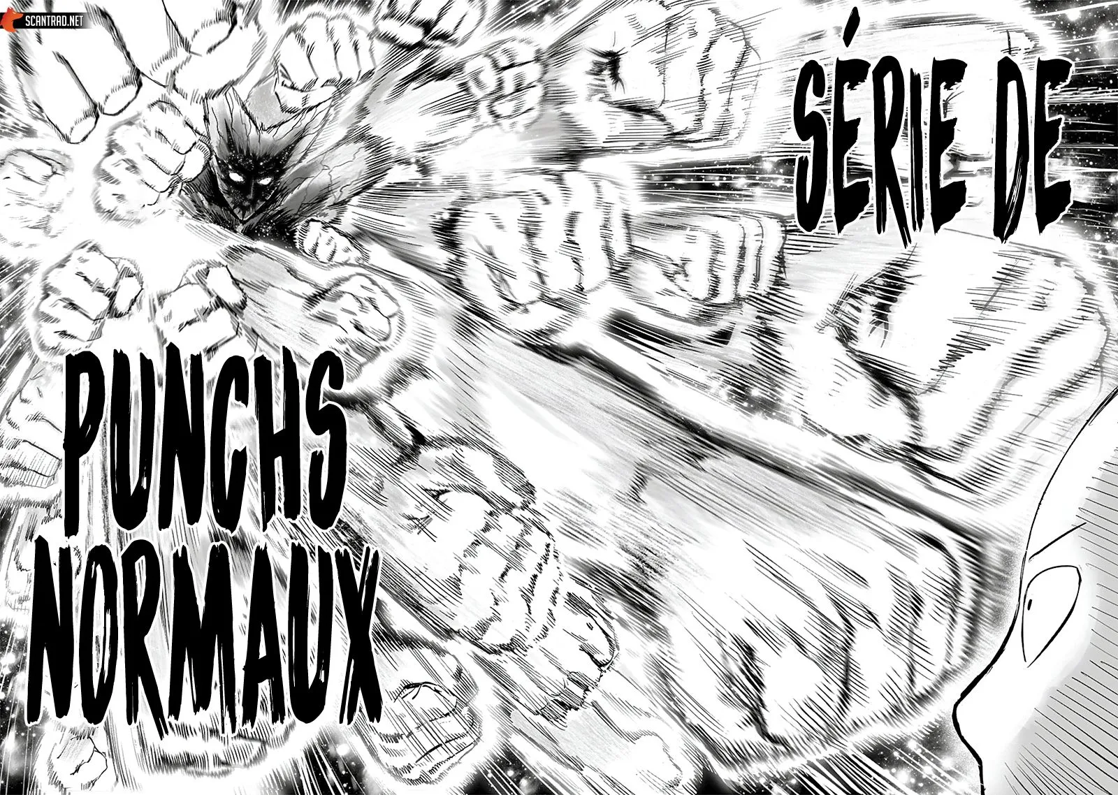 One Punch Man - 223 - 6551457cdc82e.webp