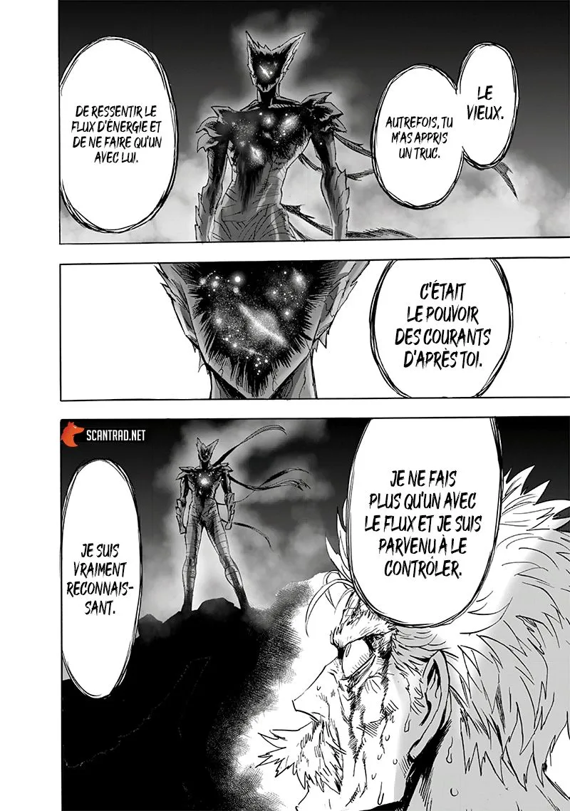 One Punch Man - 223 - 65514582b493b.webp