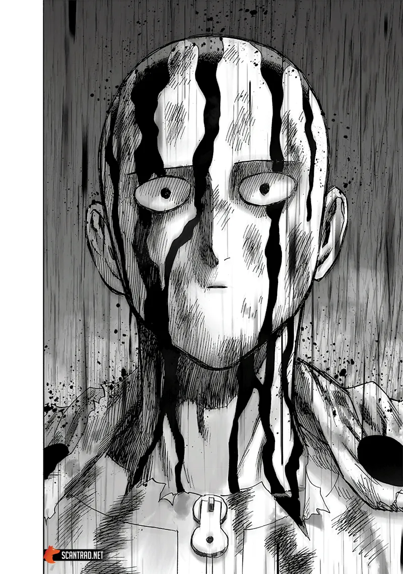 One Punch Man - 224 - 6551458be59c8.webp