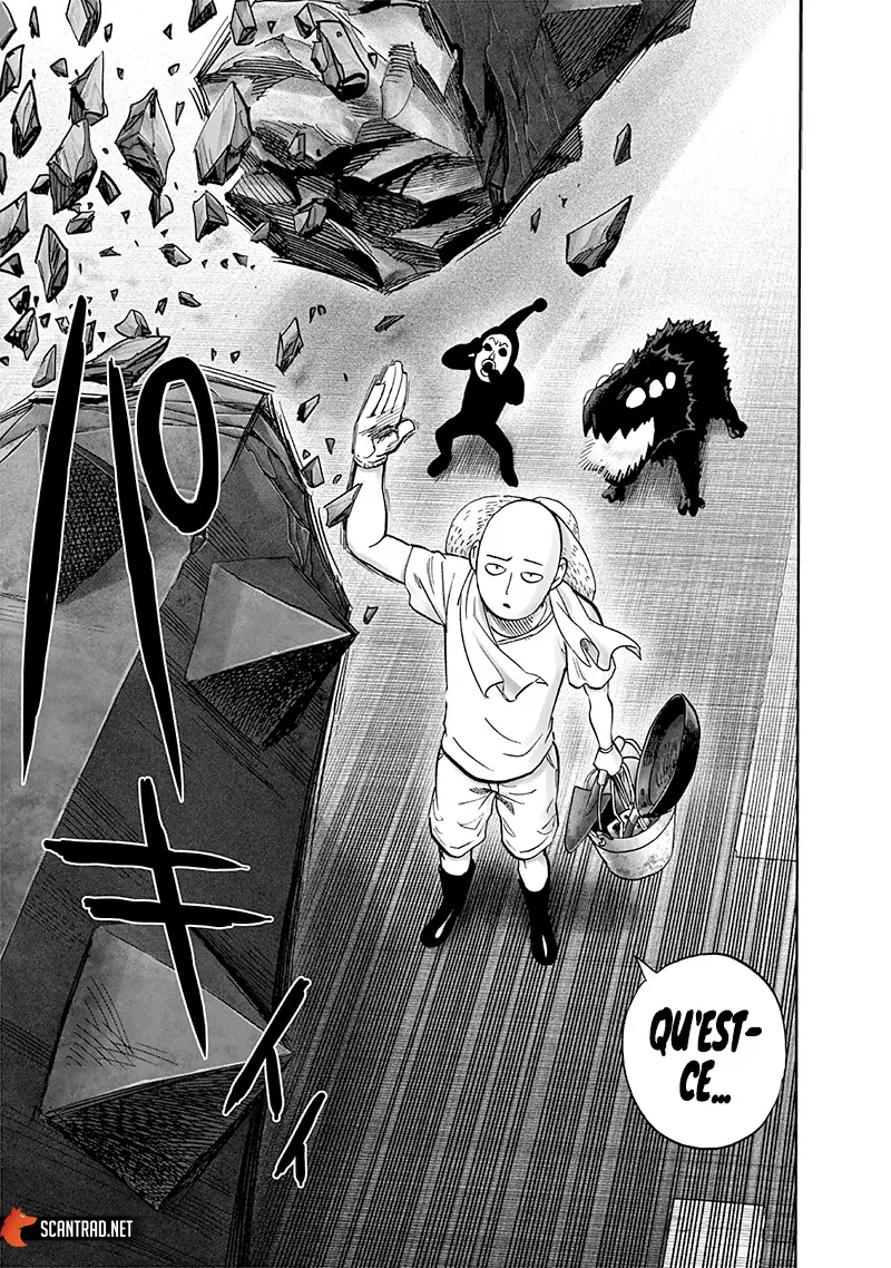 One Punch Man - 230 - 655145bfc9ca6.webp