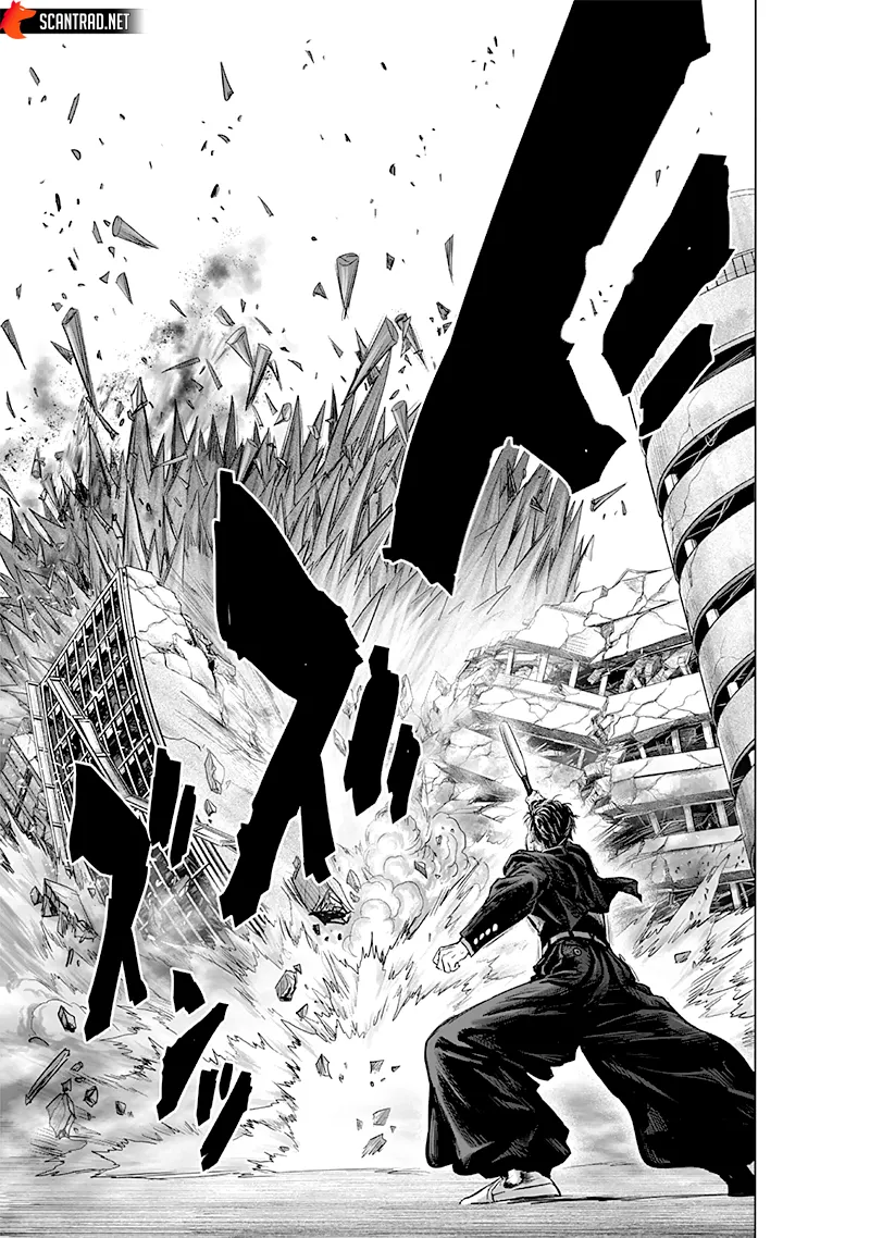 One Punch Man - 238 - 655145f2c459b.webp