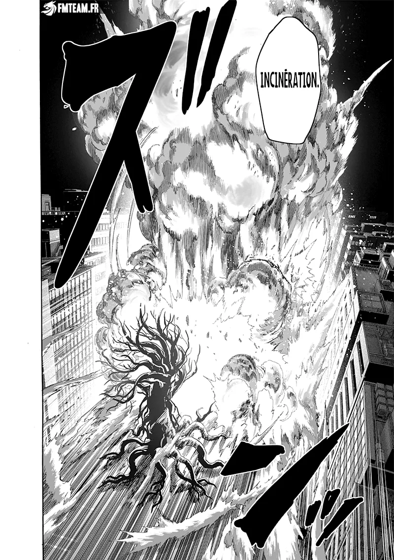One Punch Man - 243 - 65514616374d4.webp