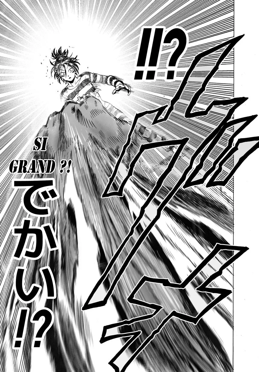 One Punch Man - 34 - 655146c9b7d7d.webp