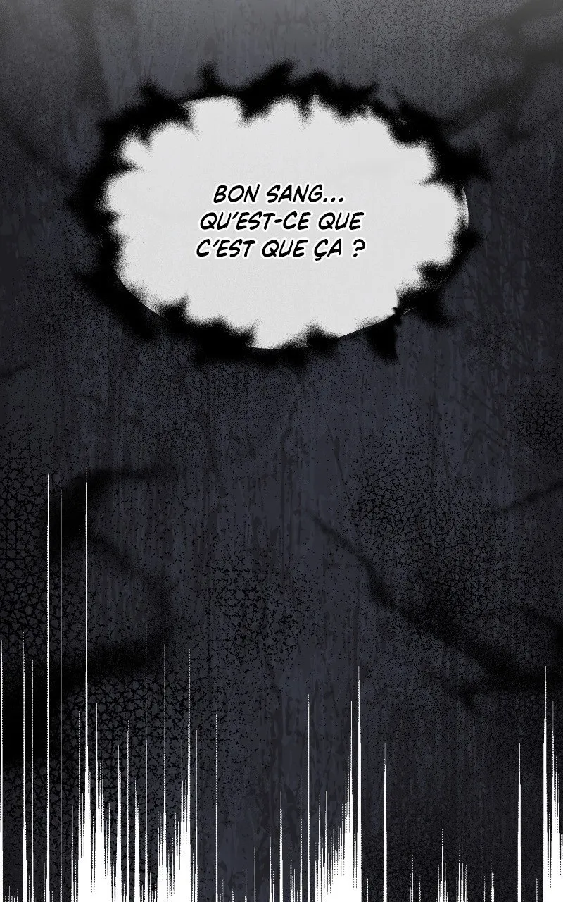 Pas toi, mais ton frère ! - 45 - 67ec1286111cb.webp