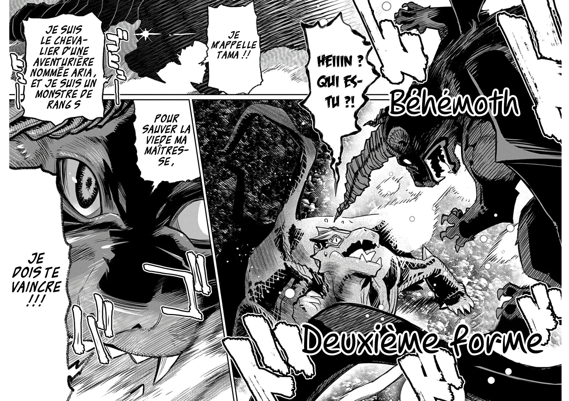 S-Rank Monster no Behemoth - 15 - 67d318e2eab0f.webp