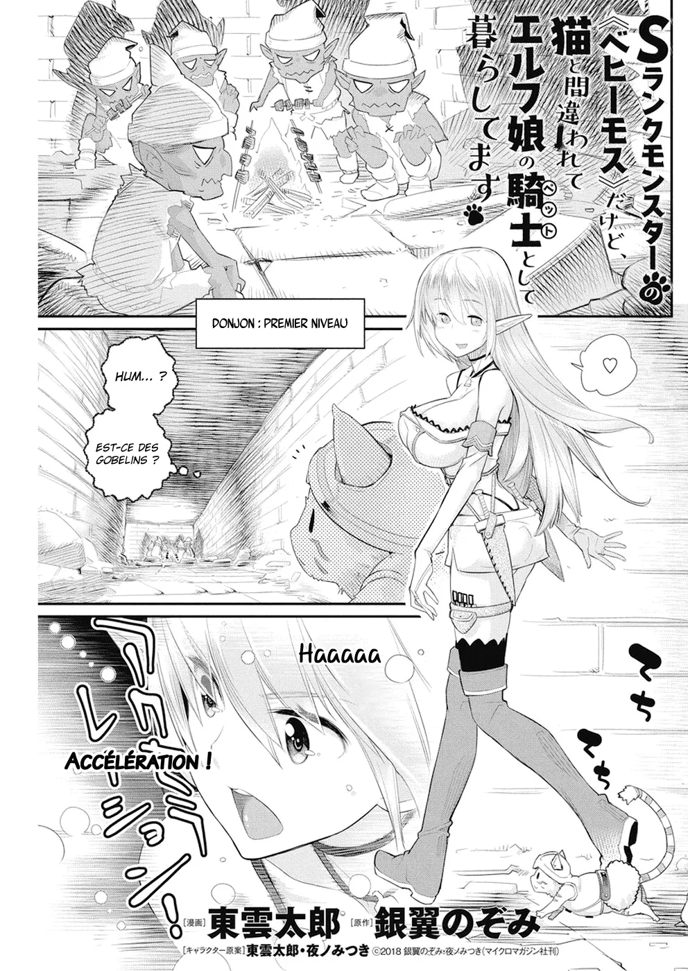 S-Rank Monster no Behemoth - 5 - 67d3192dbec22.webp