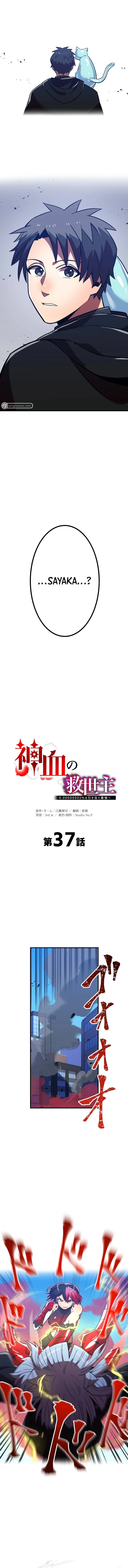 Savior of Divine Blood - 37 - 67d712ba3ad07.webp