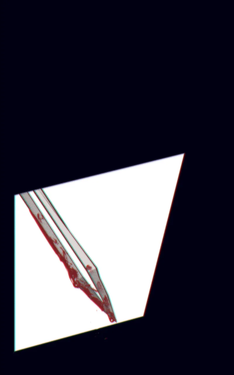 Servile - 1 - 67e9775ddcc7a.webp