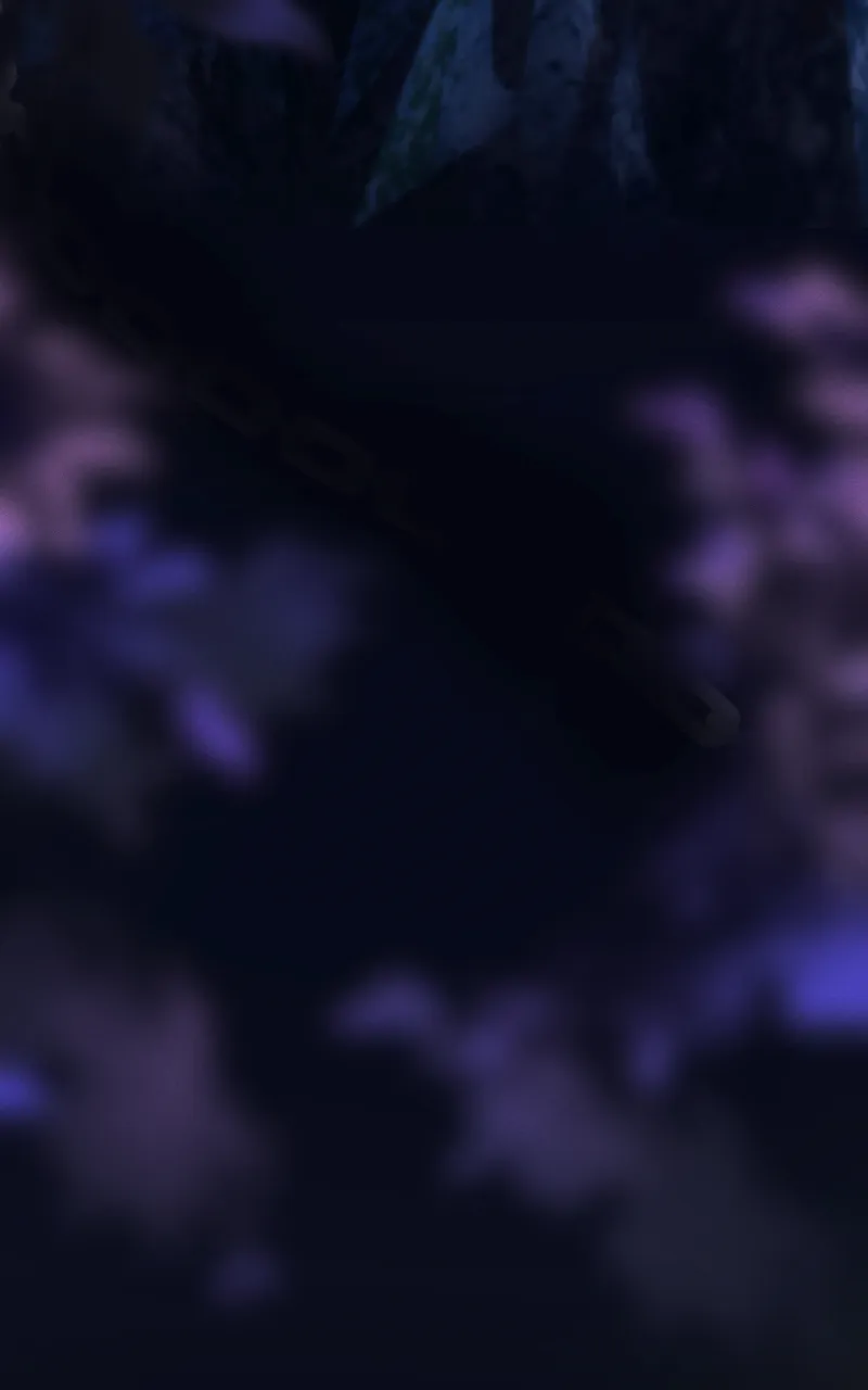 Servile - 6 - 67e978120da12.webp