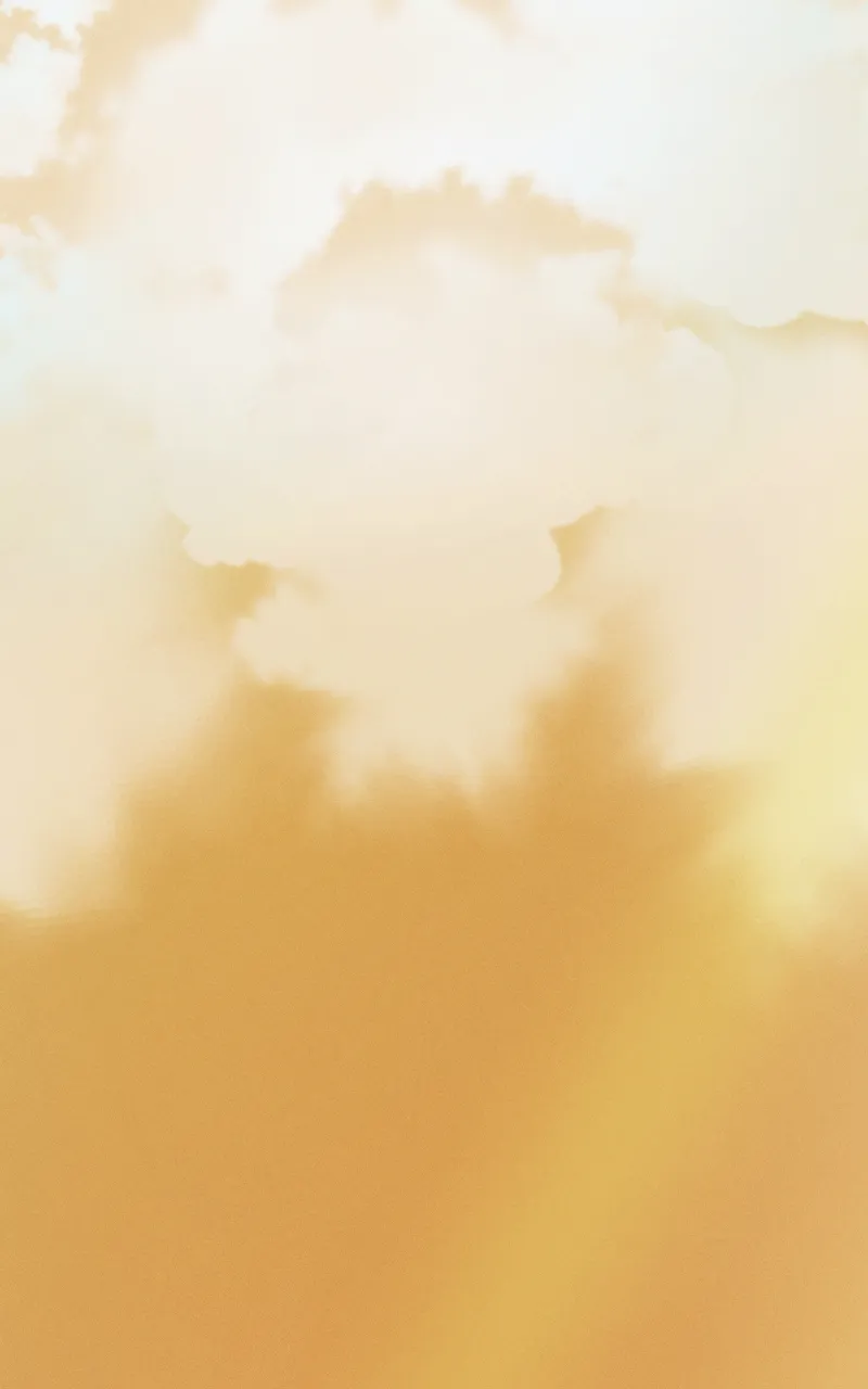 Servile - 8 - 67e978383c0aa.webp