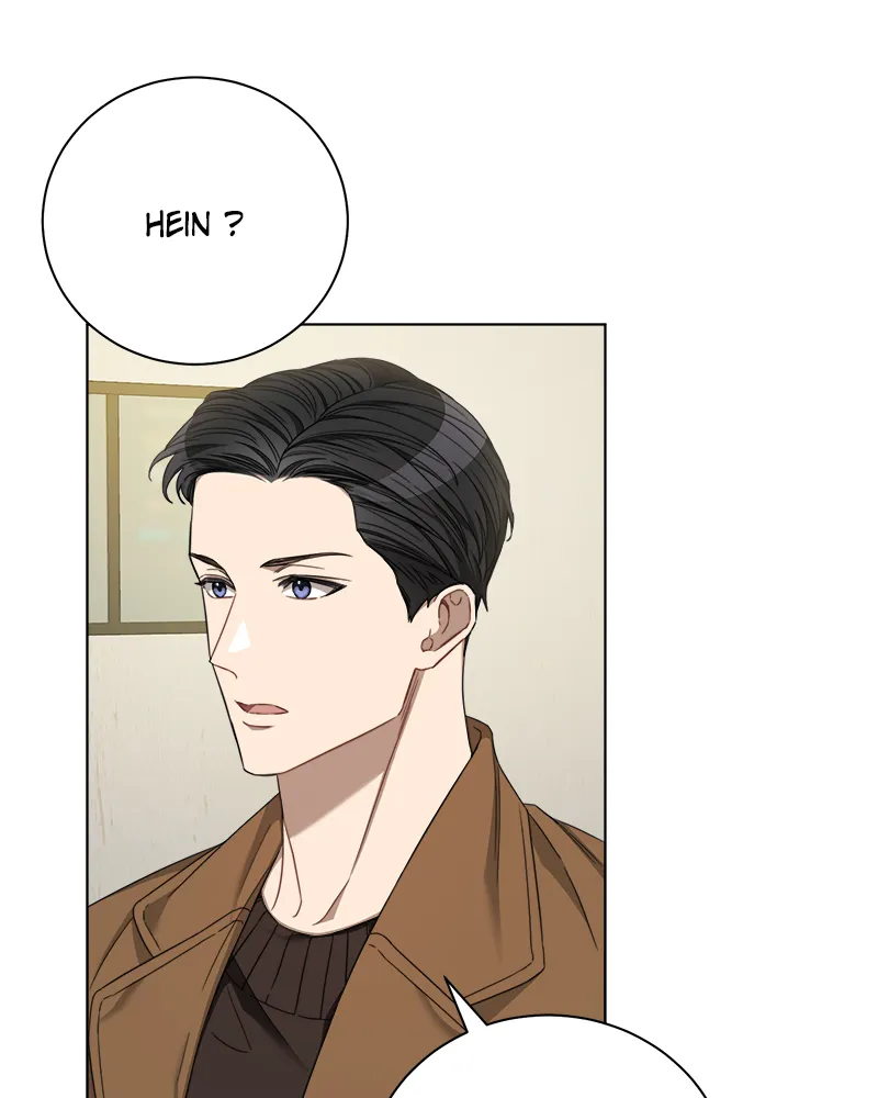 The RUNWAY - 17 - 65636efdea304.webp
