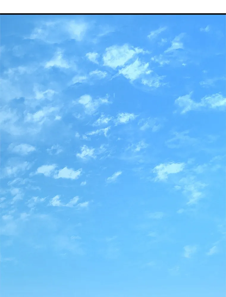 The Tutorial Is Too Hard - 89 - 67be67fdd9c4d.webp