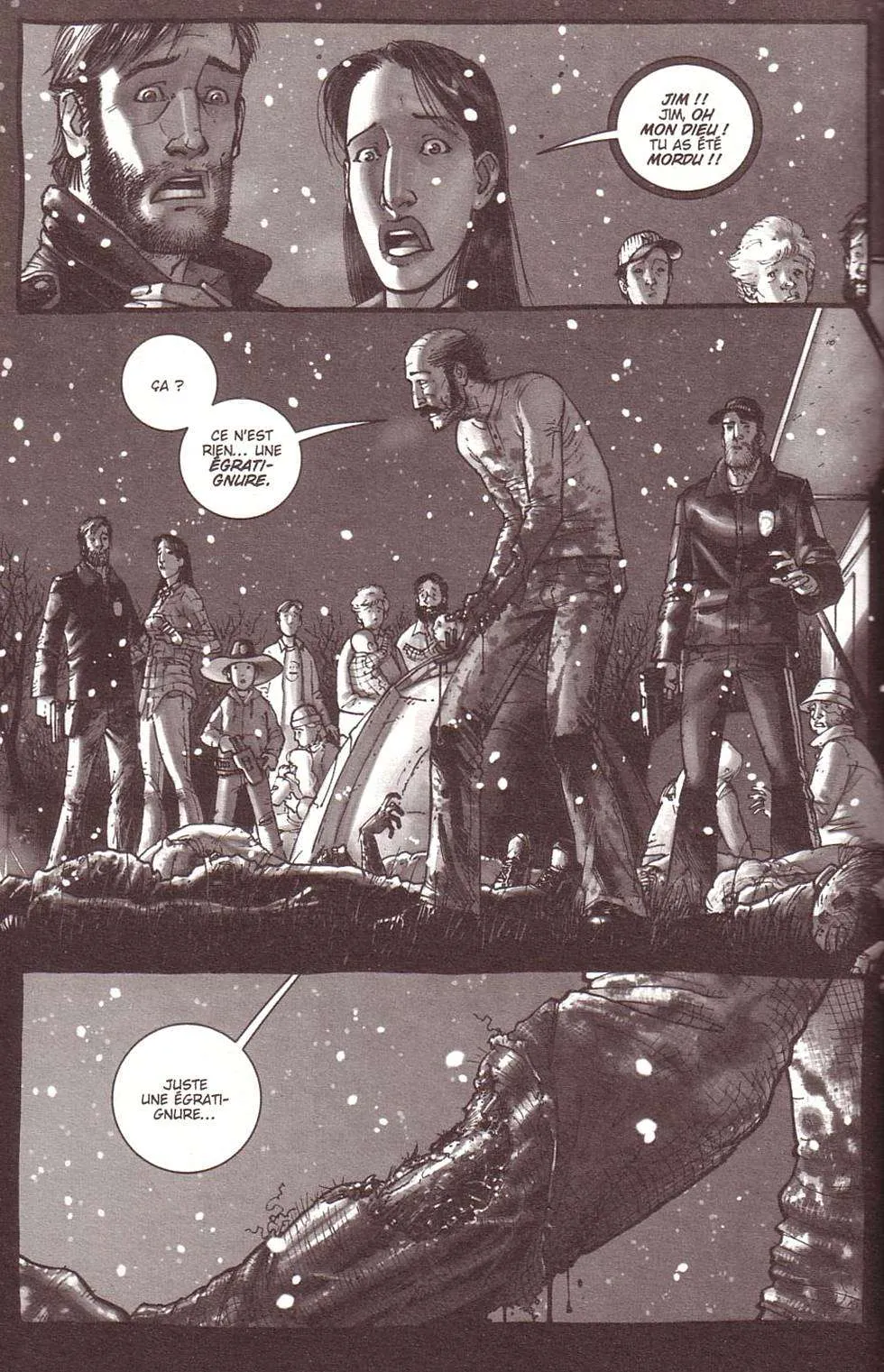 The Walking Dead - 1 - 67e9c4d8d86e6_DozT.webp