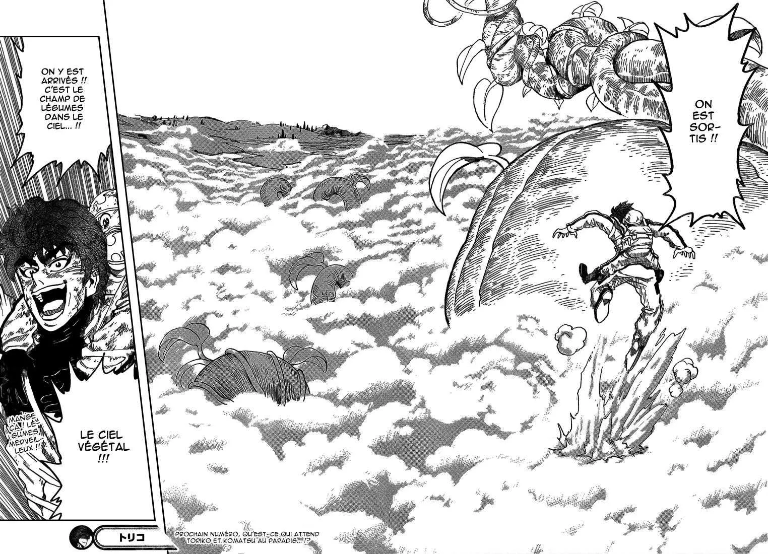 Toriko - 105 - 65569d5bcd49b.webp