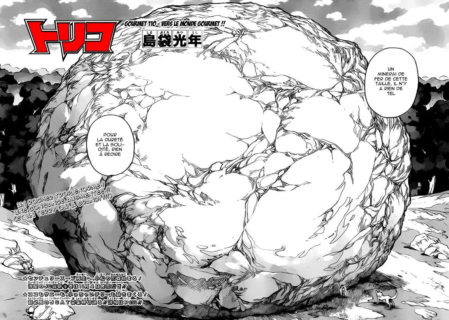 Toriko - 110 - 65569d6b57239.webp