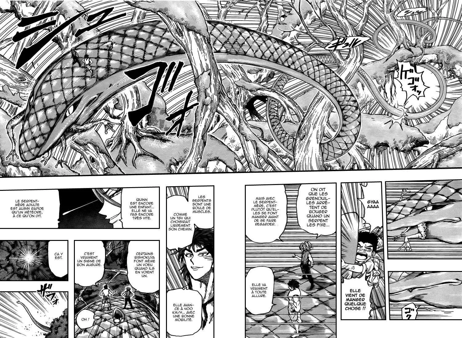 Toriko - 149 - 65569deddad61.webp