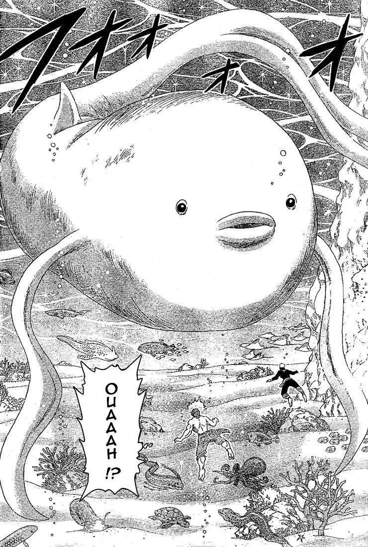 Toriko - 15 - 65569df2f0da2.webp