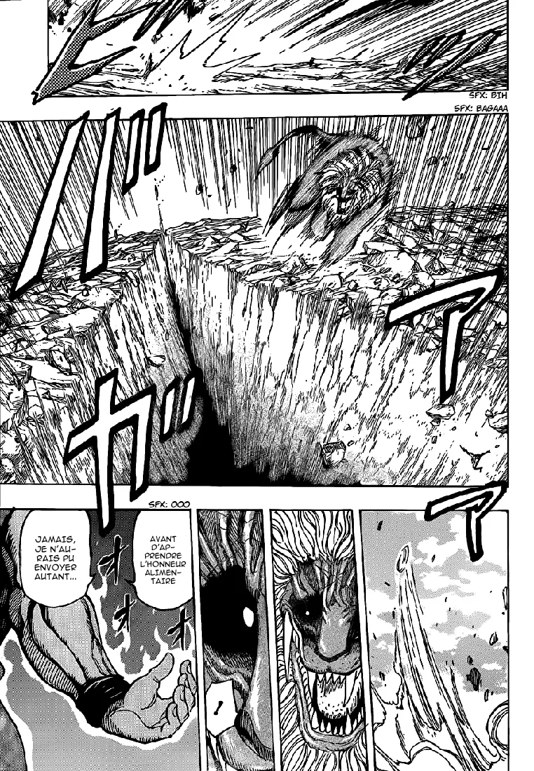 Toriko - 199 - 65569eabdeb5e.webp