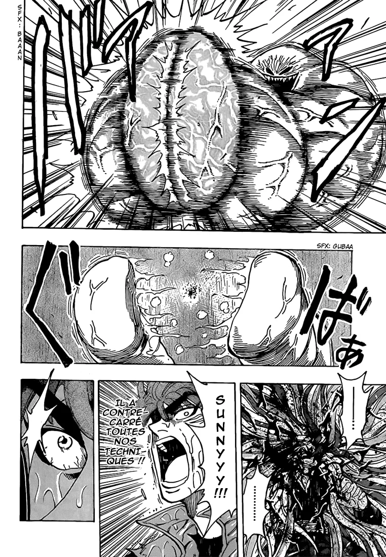 Toriko - 202 - 65569ec2ec765.webp