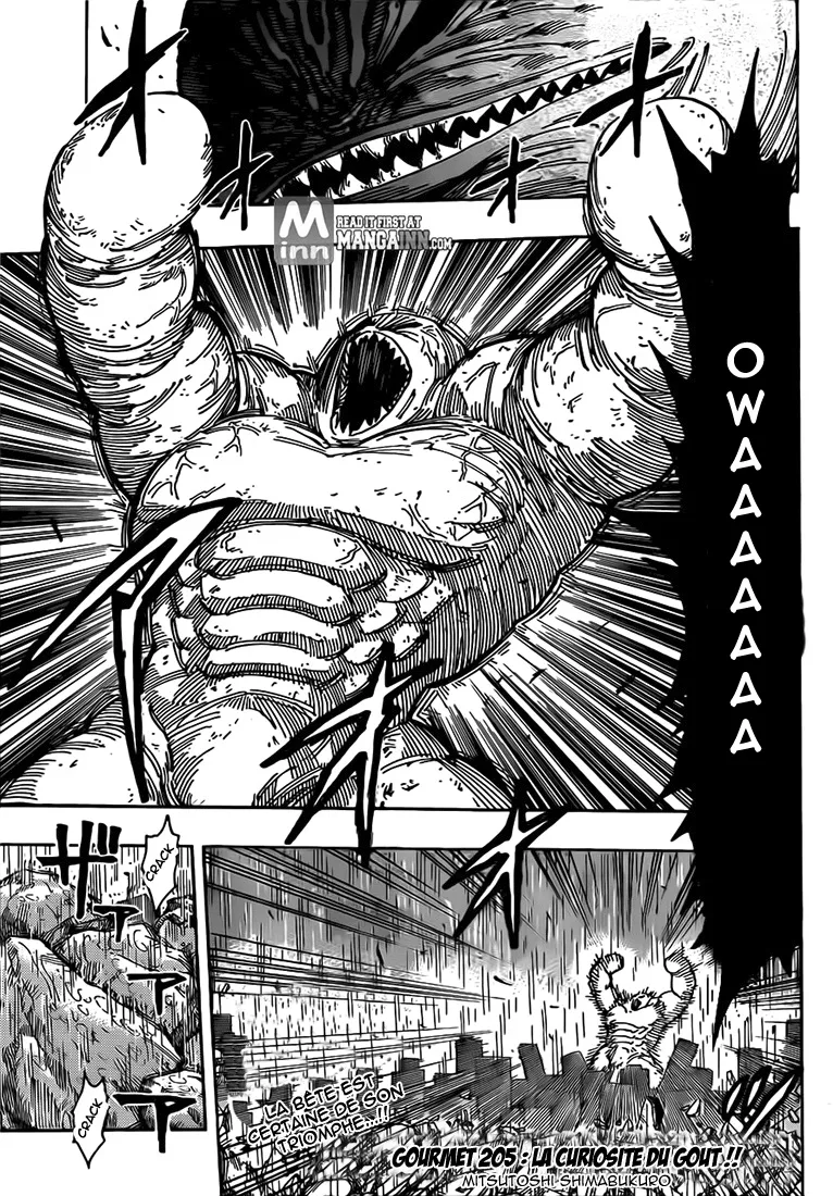 Toriko - 205 - 65569ecbea1a1.webp