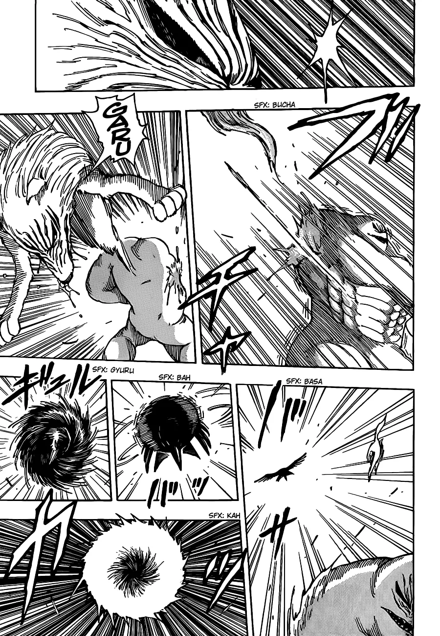 Toriko - 206 - 65569ed0aa8d7.webp