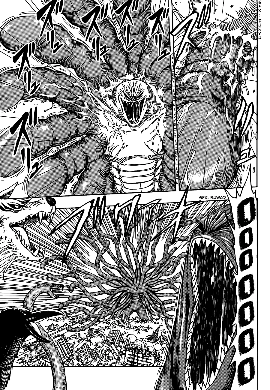 Toriko - 206 - 65569ed1bff7a.webp