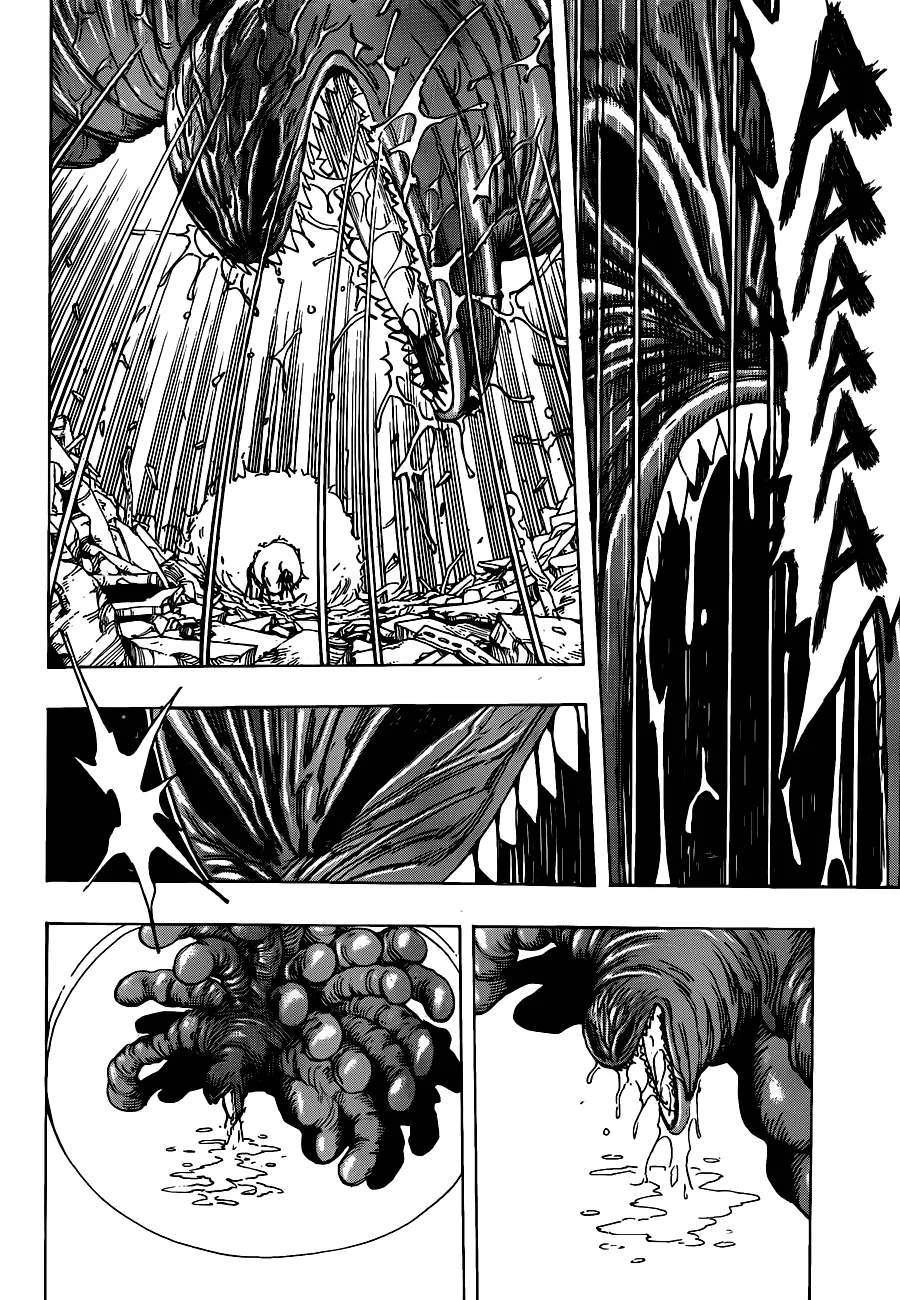 Toriko - 206 - 65569ed4124fc.webp
