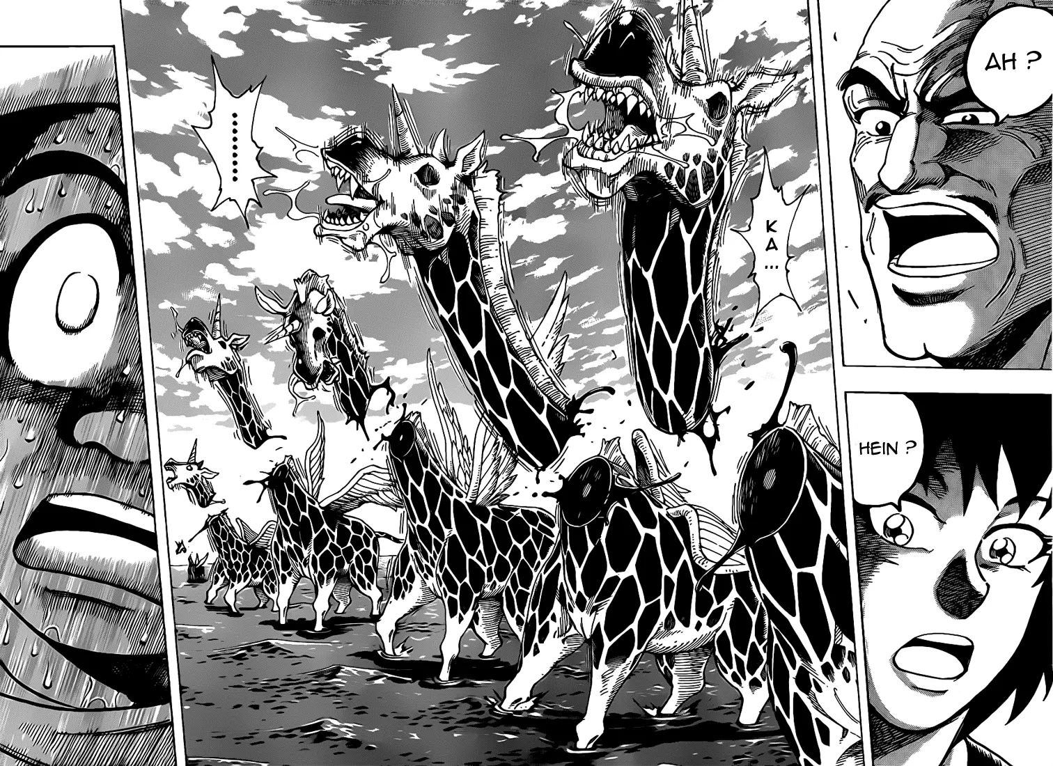 Toriko - 217 - 65569f03b679f.webp