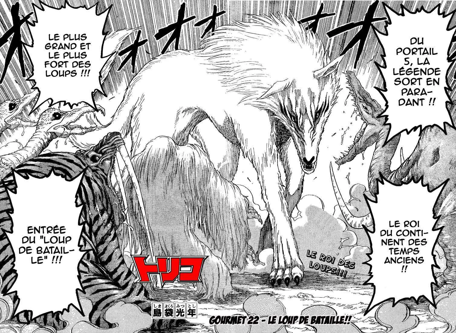 Toriko - 22 - 65569f0d8e822.webp