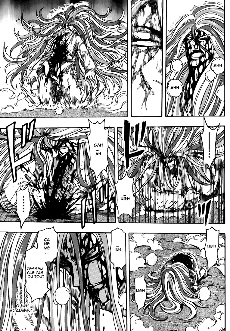 Toriko - 227 - 65569f2e62e2a.webp