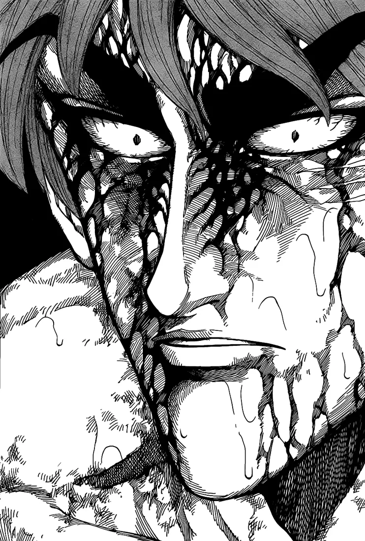 Toriko - 234 - 65569f4b5b9f5.webp