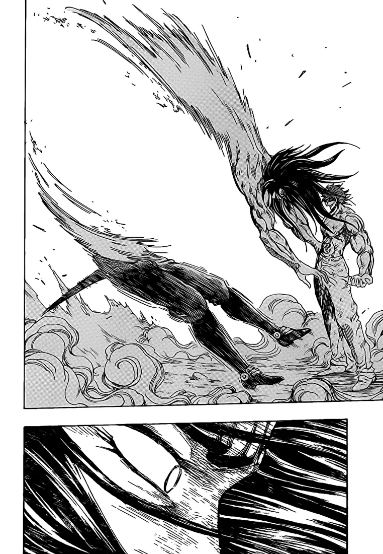 Toriko - 234 - 65569f4c925ba.webp