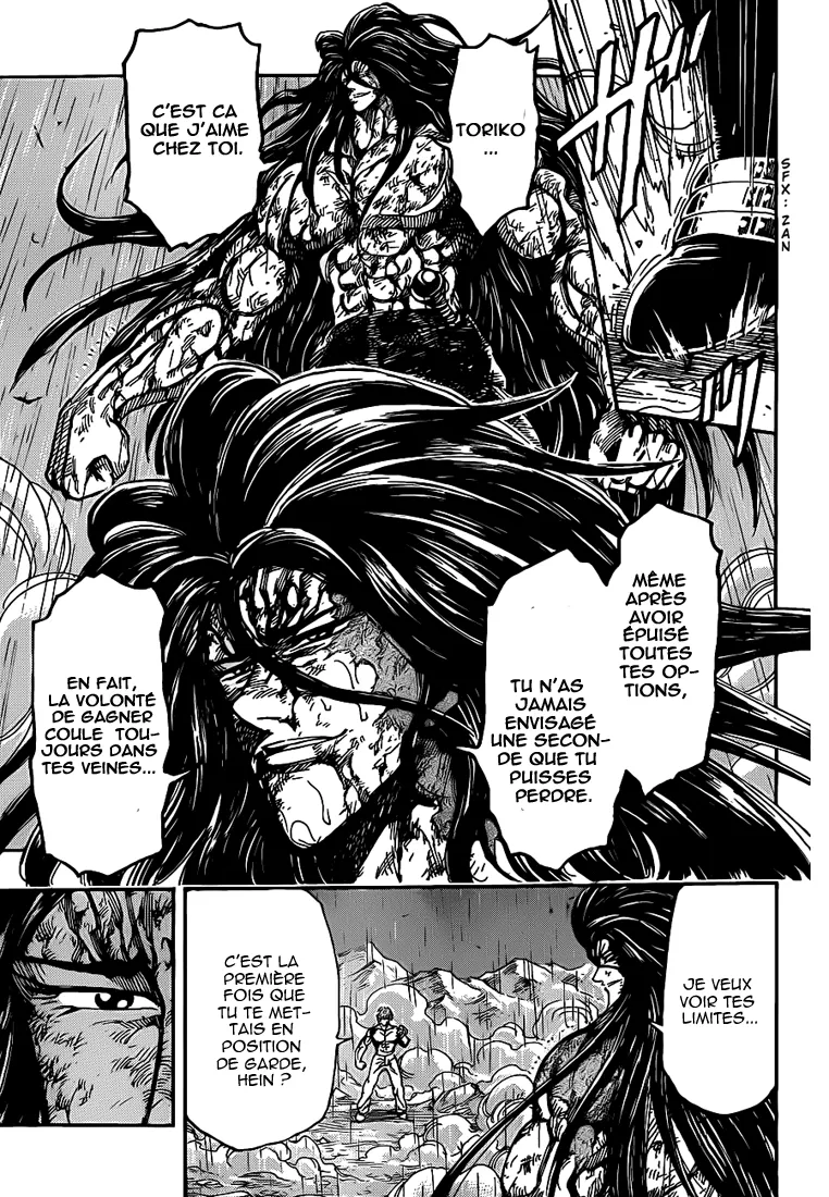 Toriko - 234 - 65569f4d3fe5a.webp