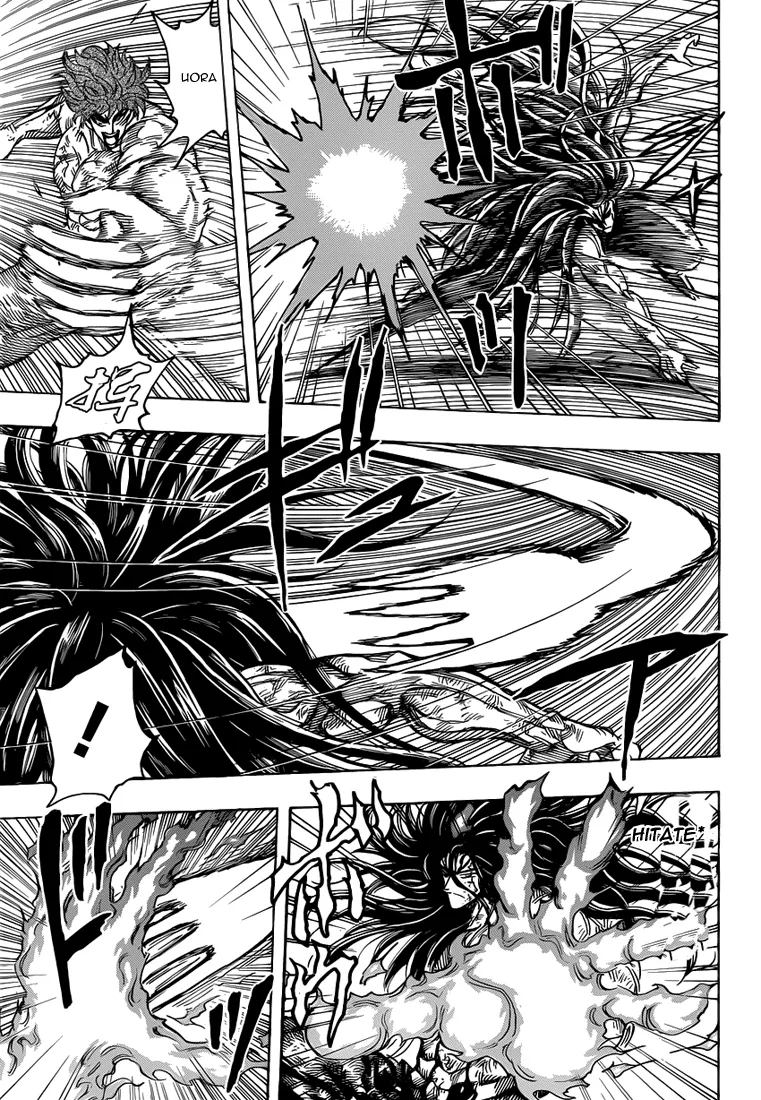 Toriko - 236 - 65569f545c35a.webp