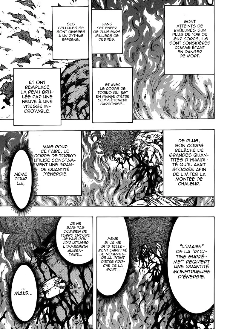 Toriko - 238 - 65569f5c78df3.webp