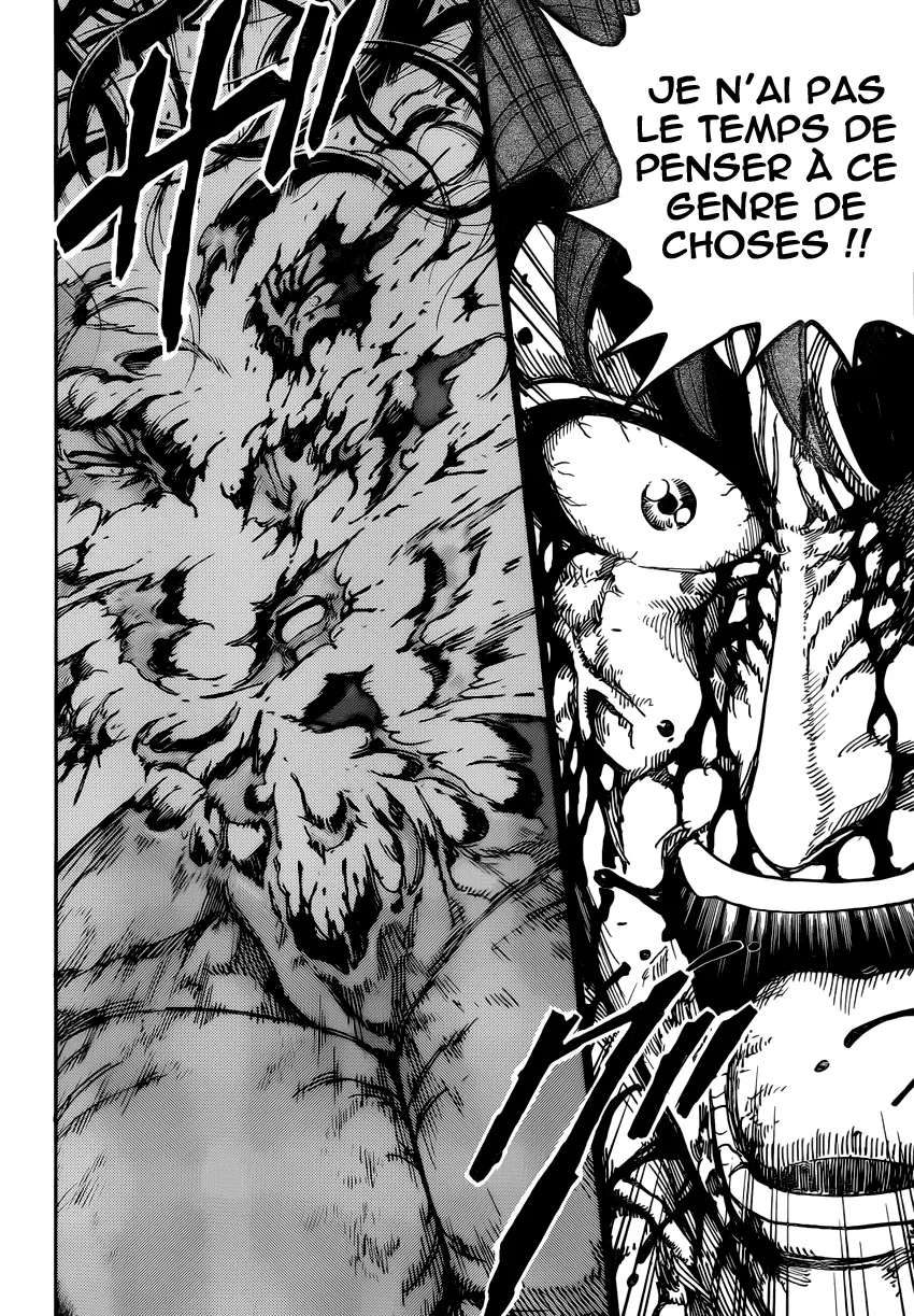 Toriko - 238 - 65569f5cbc99d.webp
