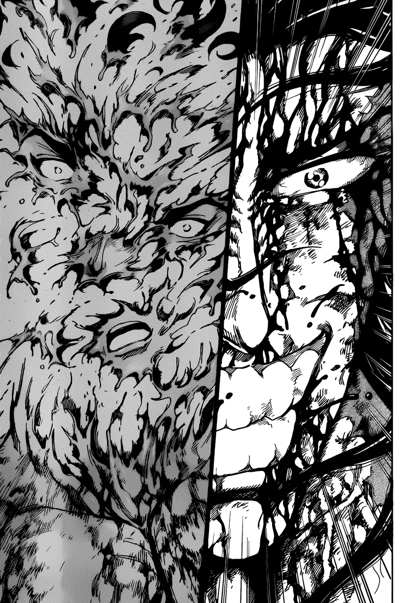 Toriko - 238 - 65569f5d0cec2.webp