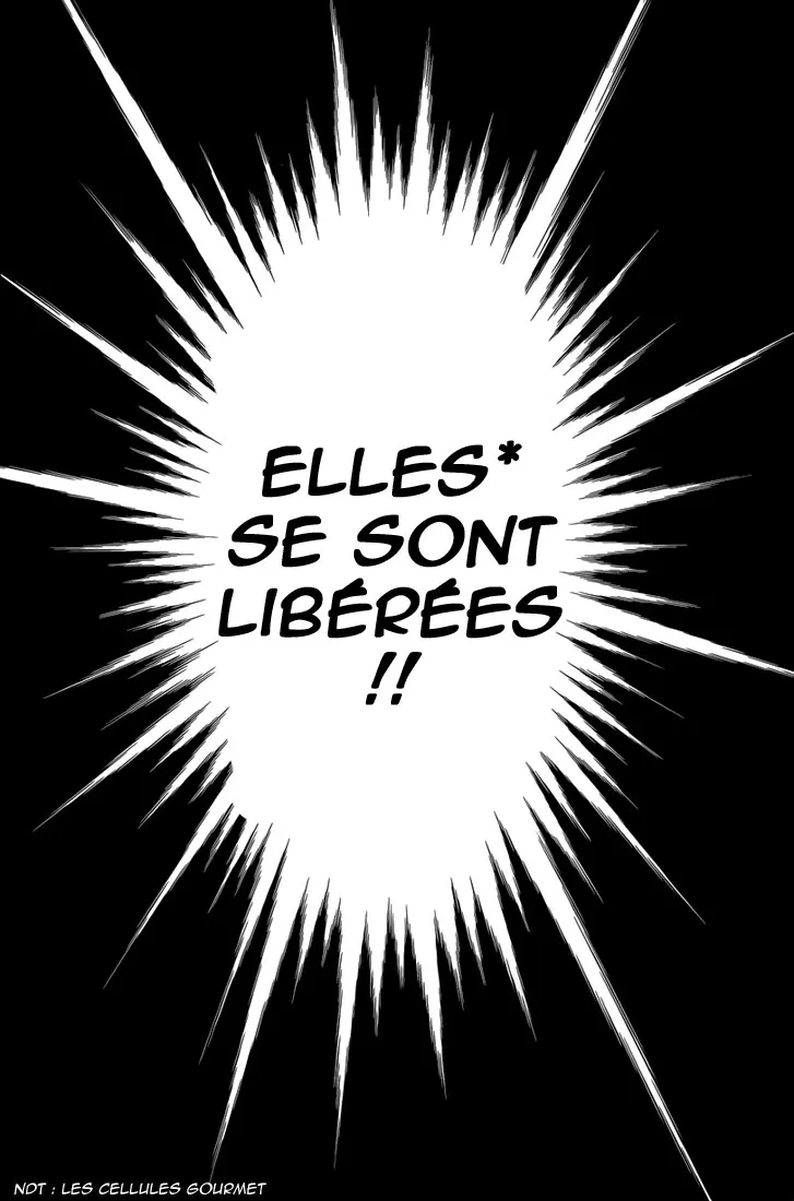 Toriko - 240 - 65569f6461854.webp