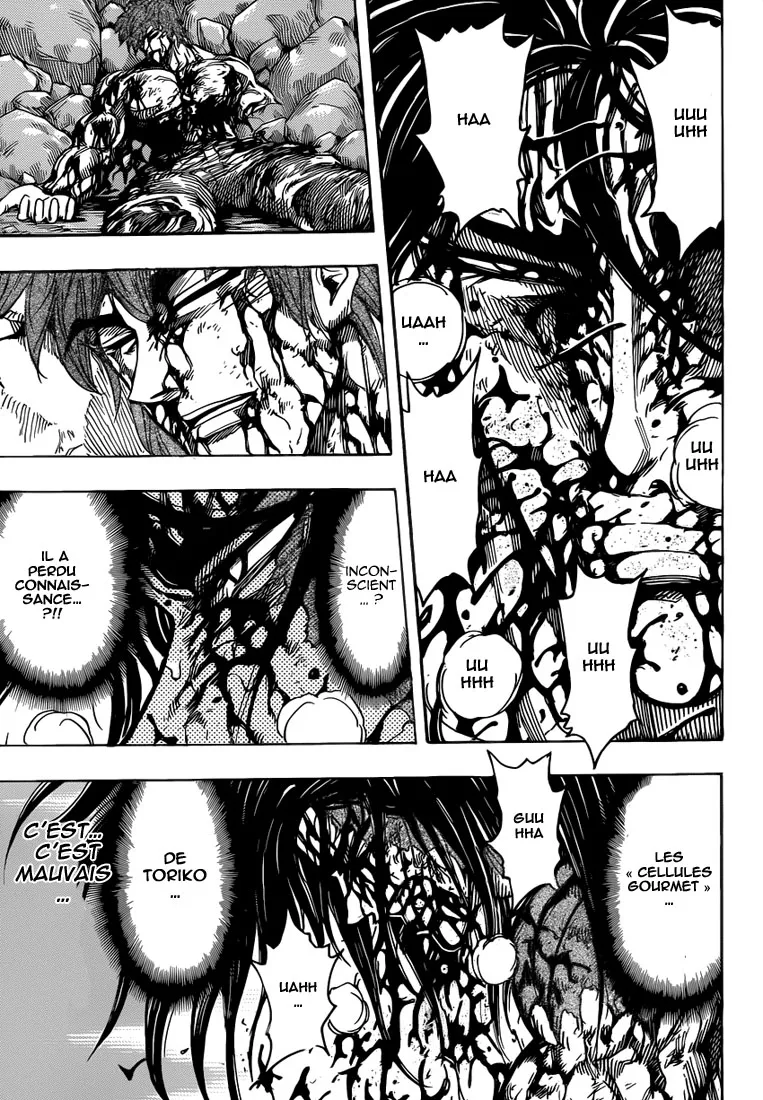 Toriko - 240 - 65569f6565352.webp