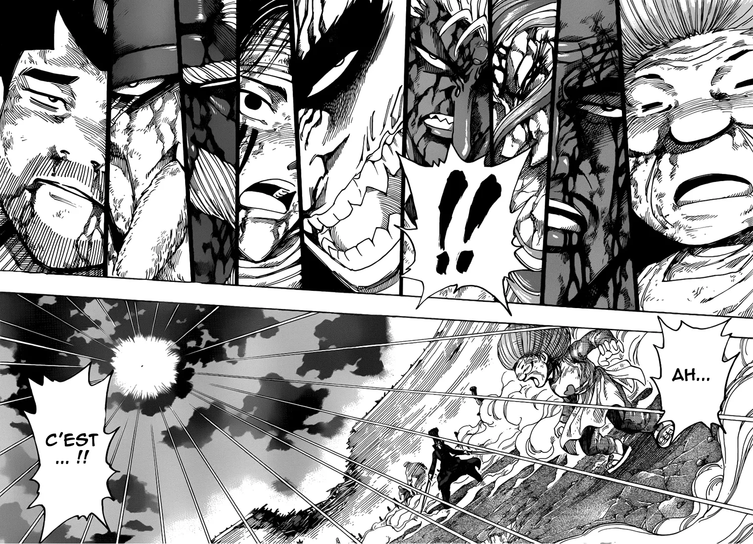 Toriko - 241 - 65569f67e478e.webp