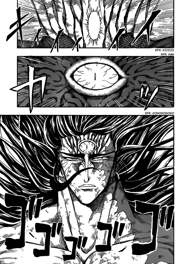 Toriko - 245 - 65569f7731b05.webp