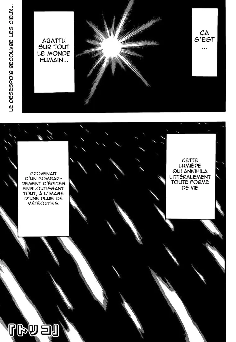 Toriko - 246 - 65569f798098b.webp