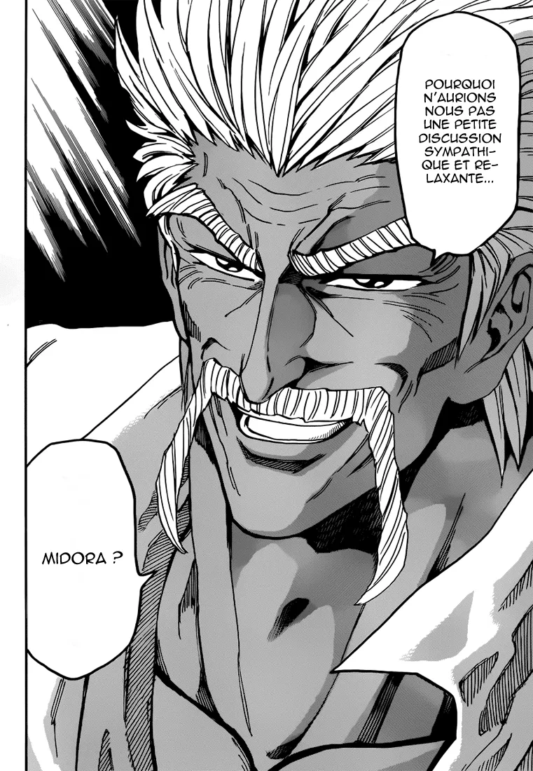 Toriko - 246 - 65569f7ca2c24.webp