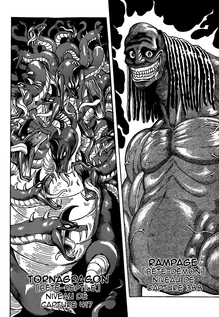 Toriko - 247 - 65569f7d9fe88.webp