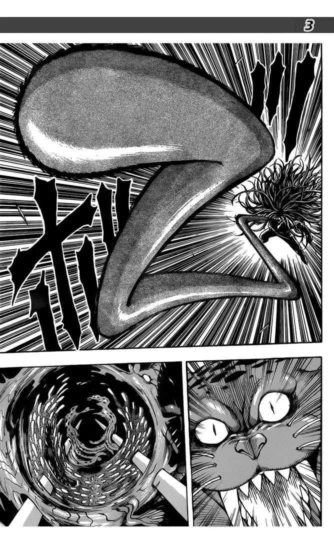 Toriko - 248 - 65569f80dd320.webp